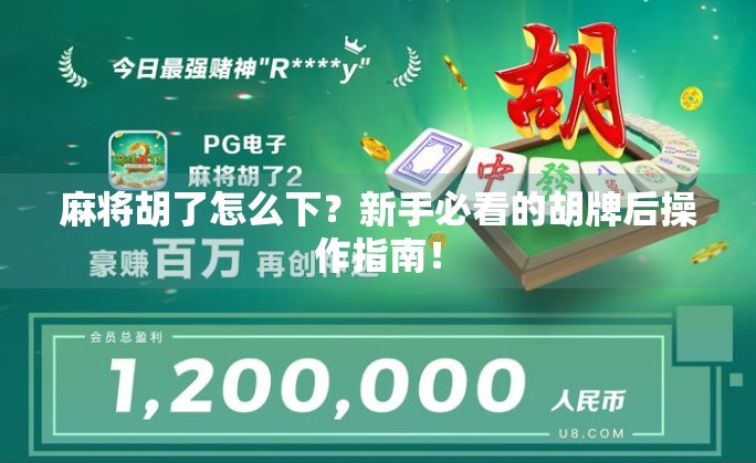 麻将胡了怎么下？新手必看的胡牌后操作指南！