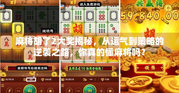 麻将胡了2大奖揭秘，从运气到策略的逆袭之路，你真的懂麻将吗？