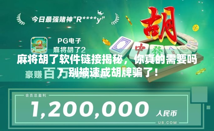 麻将胡了软件链接揭秘，你真的需要吗？别被速成胡牌骗了！