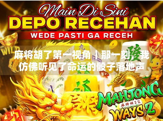 麻将胡了第一视角｜那一刻，我仿佛听见了命运的骰子落地声