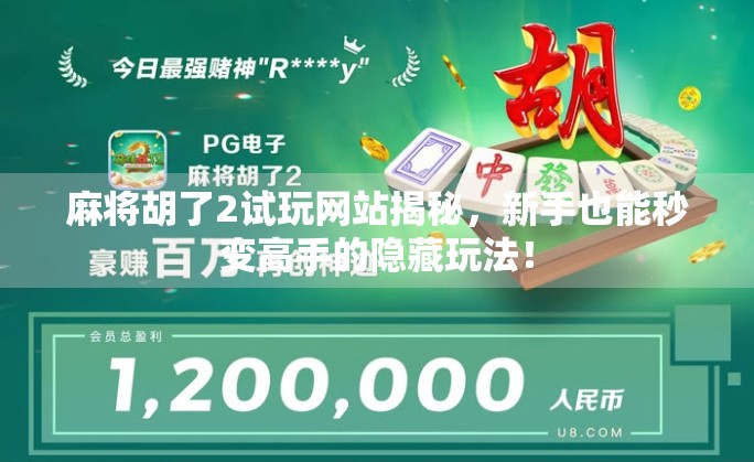 麻将胡了2试玩网站揭秘，新手也能秒变高手的隐藏玩法！