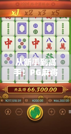 从新手到高手!PG麻将胡了全攻略,操作步骤、技巧解析与常见误区避坑指南 从新手到高手!PG麻将胡了全攻略,操作步骤、技巧解析与常见误区避坑指南