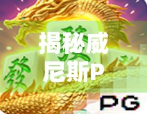 揭秘威尼斯PG麻将胡了规则,从新手到高手的进阶指南! 揭秘威尼斯PG麻将胡了规则,从新手到高手的进阶指南!