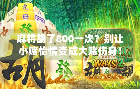 麻将胡了800一次?别让小赌怡情变成大赌伤身!